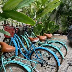 Historic Key West Bike Tour